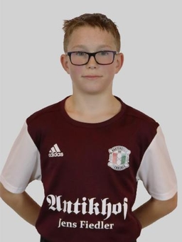 Avatar Bild für Anton Julius Lemnitzer