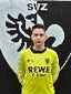 Avatar Bild