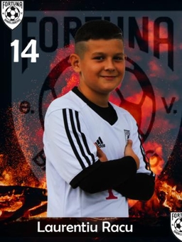 Avatar Bild für Laurentiu Racu