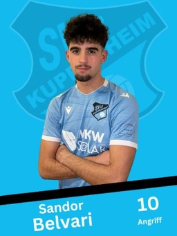 Avatar Bild für Sandor Belvari