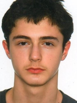 Avatar Bild für Amir Sejfulai