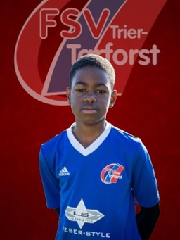Avatar Bild für Ibrahim Diop