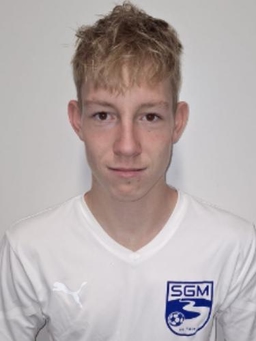 Avatar Bild für Niklas Maximilian Schweizer