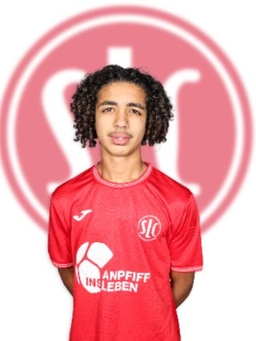 Avatar Bild für Amin Lamaallam