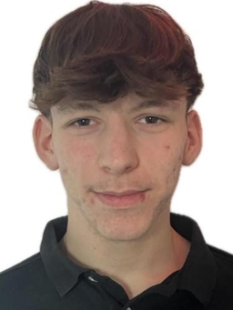 Avatar Bild für Domenik Fetzer
