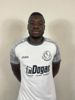 Avatar Bild für Hergie Franck-Olivier Koloko Njampouop