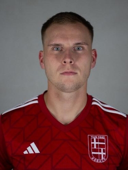 Avatar Bild für Nico Sven Hermann