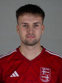 Avatar Bild für Niklas Merz