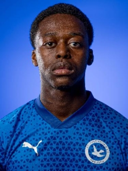 Avatar Bild für Emmanuel Junior Ompong