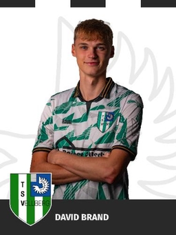 Avatar Bild für David Brand