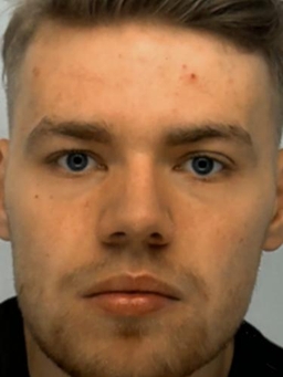 Avatar Bild für Alexander Stein