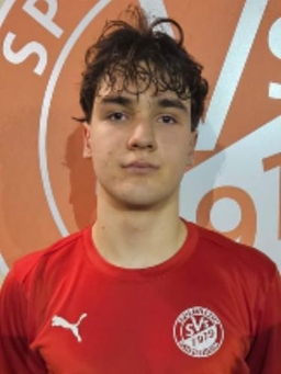 Avatar Bild für Alexander Igorevic Gurenko