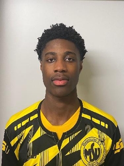 Avatar Bild für Sandro Cassama Mendes Almeida