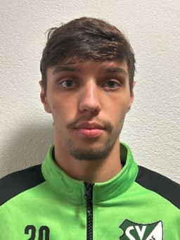 Avatar Bild für Henrique Calabrez Dutra
