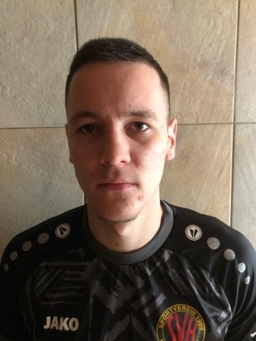 Avatar Bild für Aleksa Ivanovic