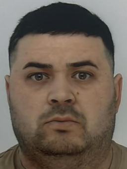 Avatar Bild für Petru Bozianu