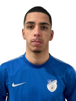 Avatar Bild für David Miranda Truelsen