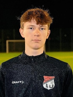 Avatar Bild für Luis Dirion