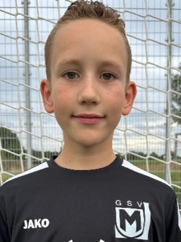 Avatar Bild für Henri Vermaaten