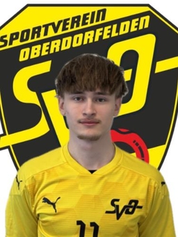 Avatar Bild für David Kaenel