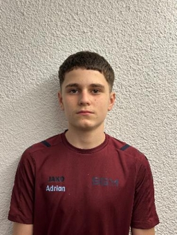 Avatar Bild für David Baric