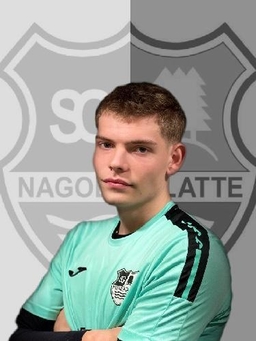Avatar Bild für Theo Groß