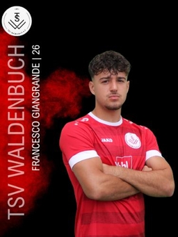 Avatar Bild für Francesco Giangrande