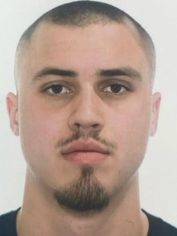 Avatar Bild für Fynn Schäfauer