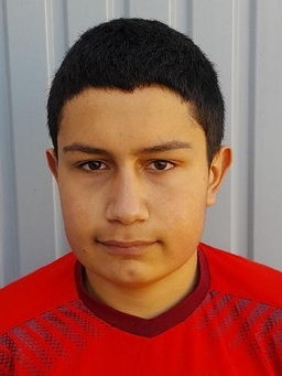 Avatar Bild für Hamit Berken Calanli
