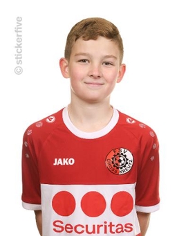 Avatar Bild für Karl Grüneberg