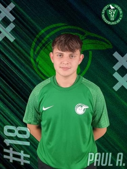 Avatar Bild für Paul Auerbach