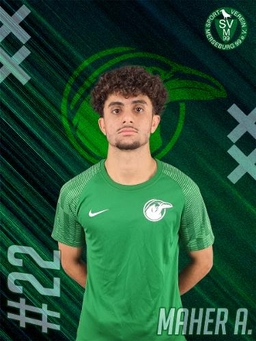 Avatar Bild für Maher Alassaf Alasaad