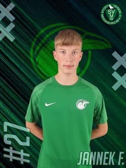 Avatar Bild für Jannek Peter Fischer