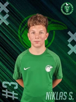 Avatar Bild für Niklas Tobias Stoye