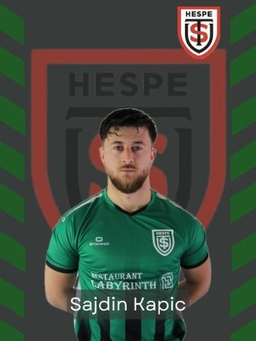 Avatar Bild für Sajdin Kapic