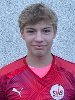 Avatar Bild für Aurelio Bergamotto