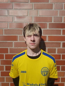 Avatar Bild für Vladimir Maljar