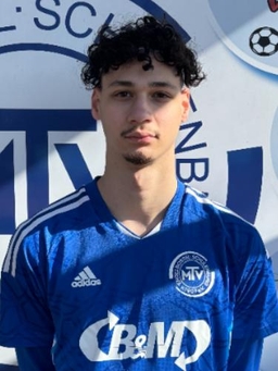 Avatar Bild für Luigi Rizzo