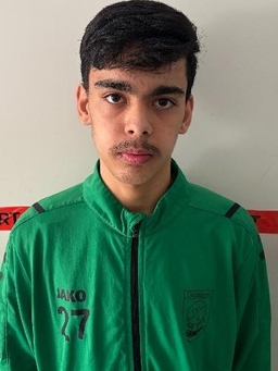 Avatar Bild für Mohamad Dehqanzada