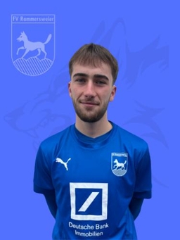 Avatar Bild für Noah Lauinger