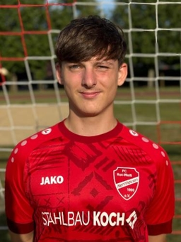 Avatar Bild für Raphael Schubert