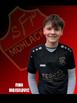 Avatar Bild für Finn Mojsilovic