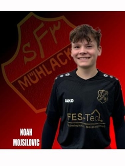 Avatar Bild für Noah Mojsilovic