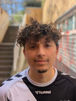 Avatar Bild für Sergio Miguel Silva Dias