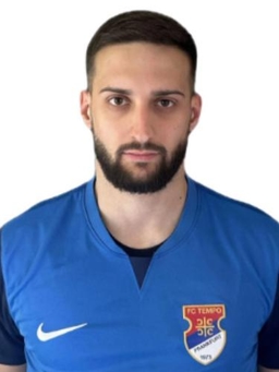 Avatar Bild für Milan Mitrovic