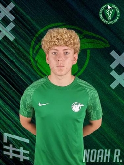 Avatar Bild für Noah Niclas Reinke