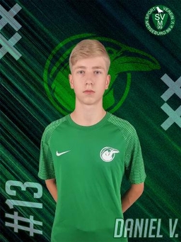 Avatar Bild für Daniel Vollenweider