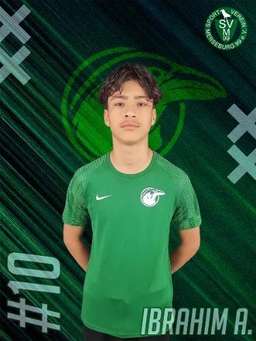 Avatar Bild für Ibrahim Alhussein Alramadan