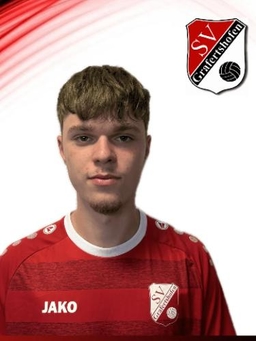 Avatar Bild für Tim Schweizer