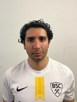 Avatar Bild für Reza Gholami